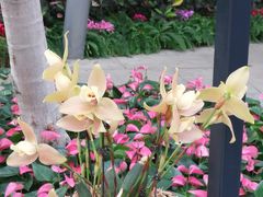 -北京植物园-展览温室