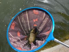 -酷鱼垂钓CLUB(朝阳区博大路店 )