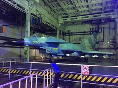 -泰达航母主题公园