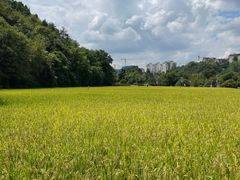 -贵阳市花溪国家城市湿地公园
