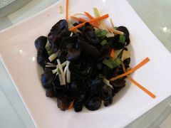 -玉雪春天(中正花园店)