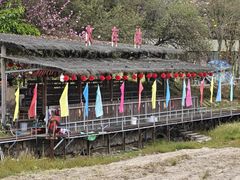 -红山村