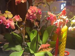 -江南足纪·影院足道·轻奢SPA(笋岗HALO广场店)