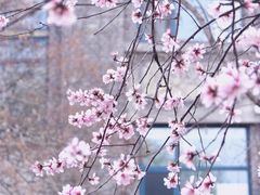 -山东大学(洪家楼校区)