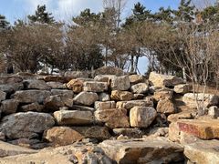 -莫子山公园