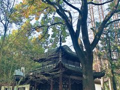 -汇龙潭
