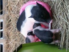 android_upload_pic-万达广场(南京江宁店)