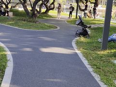 -四海公园(南山区)