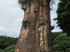 -青青世界