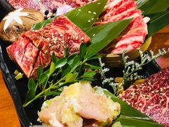 -肉魁屋·烧肉·烧鸟·酒场(高新店)