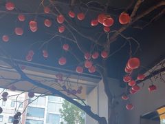 -曹家小菜(胜太路店)