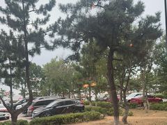 -澜小宴·胶东海鲜烟台味(时光塔店)