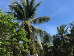 -红色娘子军纪念园