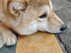 -鹤祥宫·影院足道·SPA连锁(苹果园店)