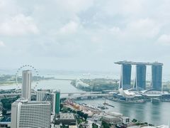 -新加坡瑞士史丹福酒店