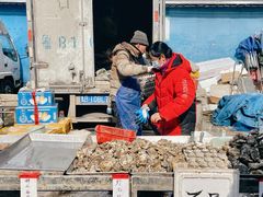 -重振华中蔬菜批发市场(重庆中路店)