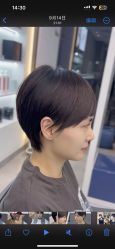 -天使之手