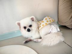 -怪兽屋·羊驼·猫咖·狗咖(俊华广场店)