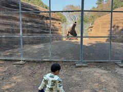 -平湖九龙山旅游度假区