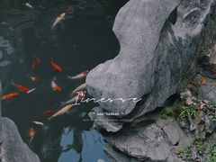 -豫园