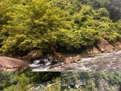 -雁荡山风景名胜区