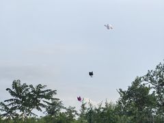 -丁香湖公园