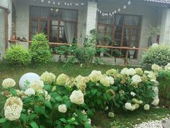 -Jo's Garden