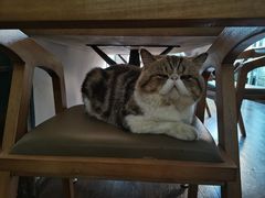 -参差咖啡(水果湖公园店)