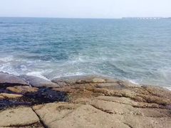 -日照灯塔风景区