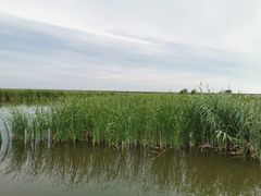 -吉顺坑烤