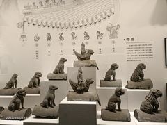 -四川大学博物馆