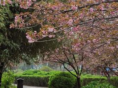 -洛阳市隋唐城遗址植物园