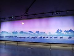 -罗红摄影艺术馆