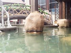 -裕龙汤泉