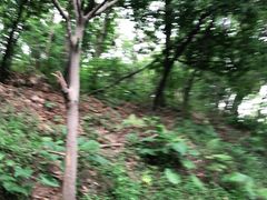 -广州雕塑公园