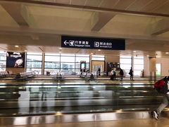 -上海浦东国际机场-T2航站楼