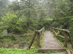 -西岭雪山大飞水景区
