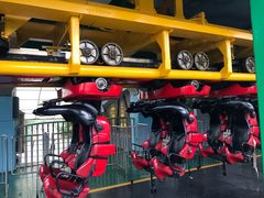 -大连海昌发现王国主题公园