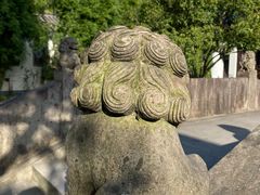 -高老太奶油小攀(新建南路店)