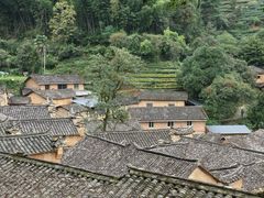-杨家堂村
