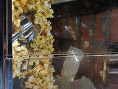 -陈厨(新苑小区店)