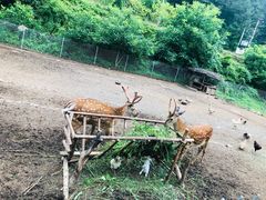 -北京山里寒舍度假酒店