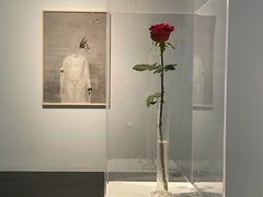 -清华大学艺术博物馆