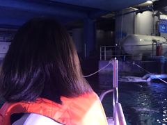 -暹罗海洋世界