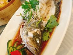 -潮福城大酒楼(北尚店)