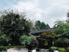 -腾冲和顺柏联酒店