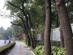 -上海虹桥迎宾馆