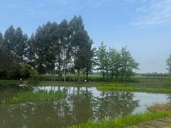 -中国天府农业博览园