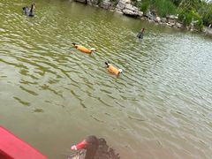 -南翠屏公园