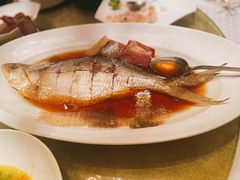 陈酿太雕蒸鲥鱼-上海小南国(不夜城店)